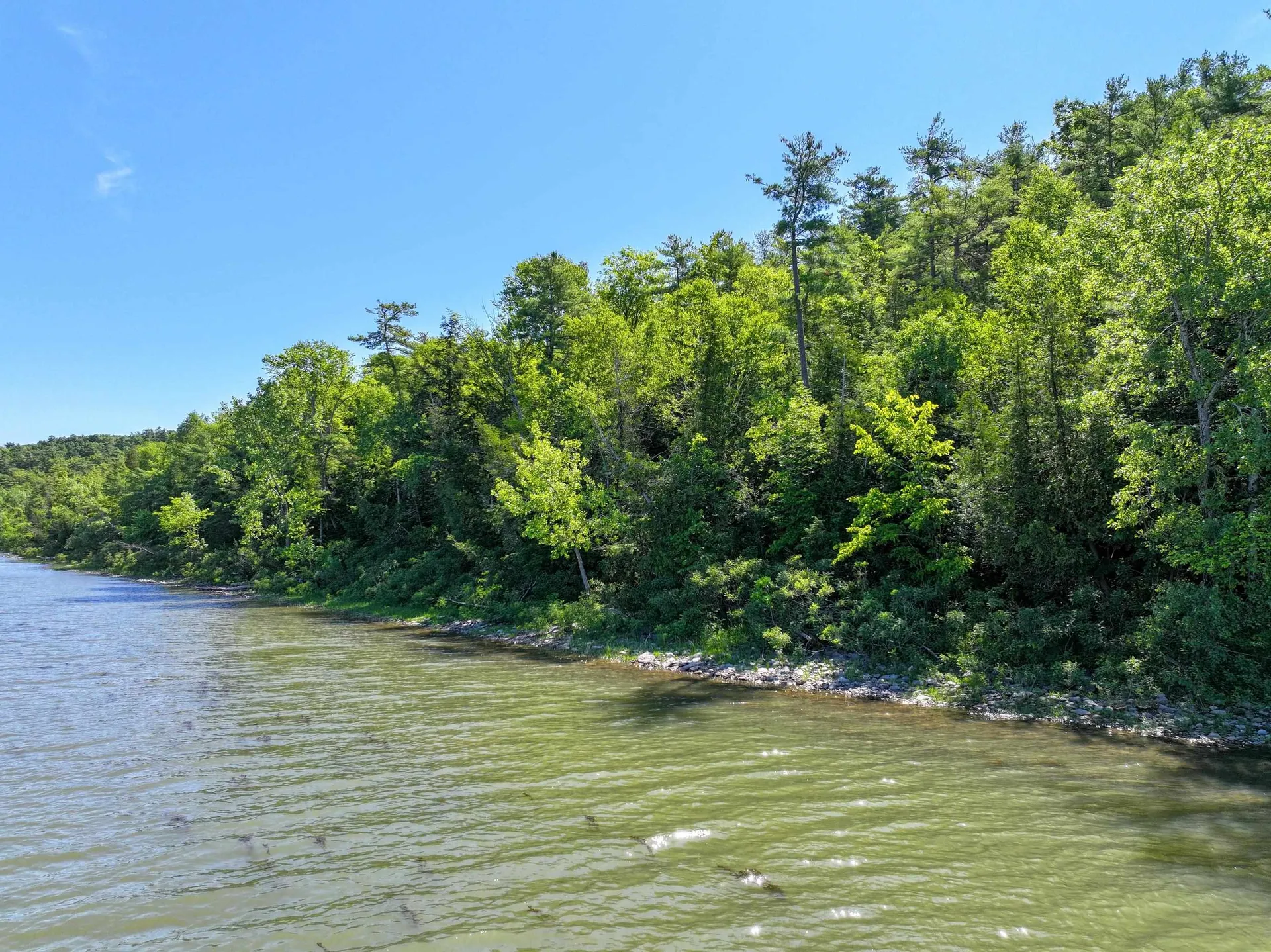 341 Turkey Farm Road Benson VT 05731