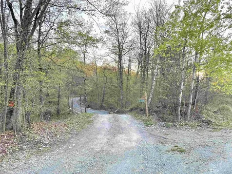 341 Turkey Farm Road Benson VT 05731