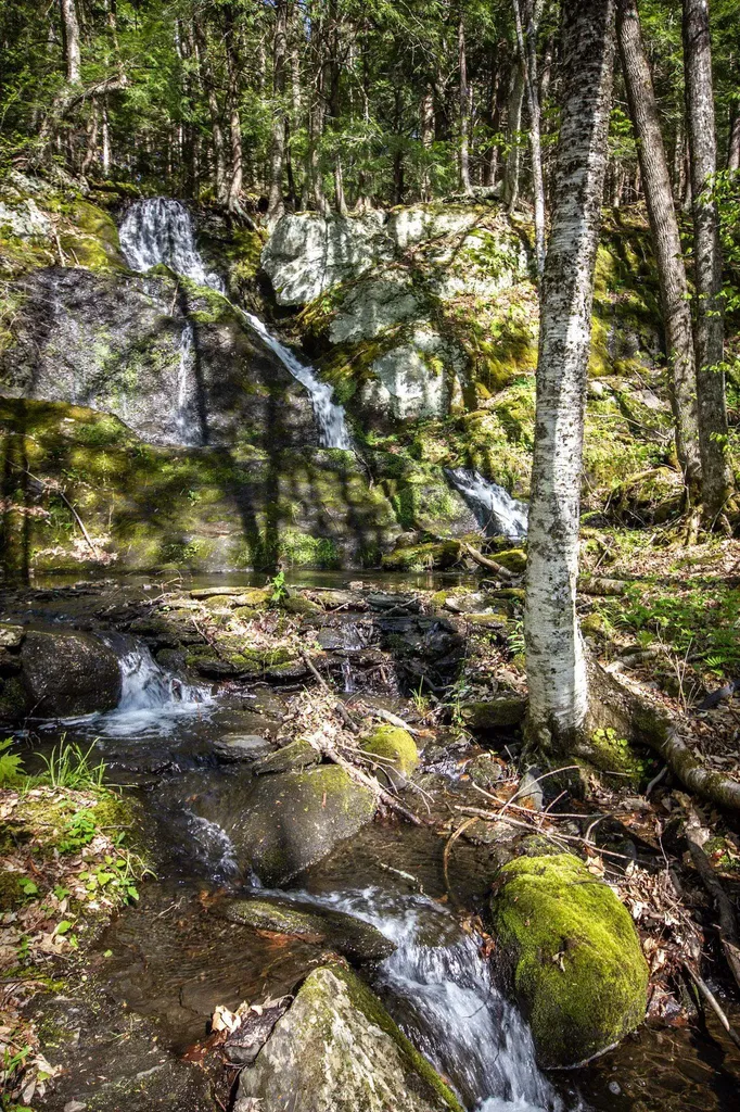 352 Edwins Pond Road Rochester VT 05767