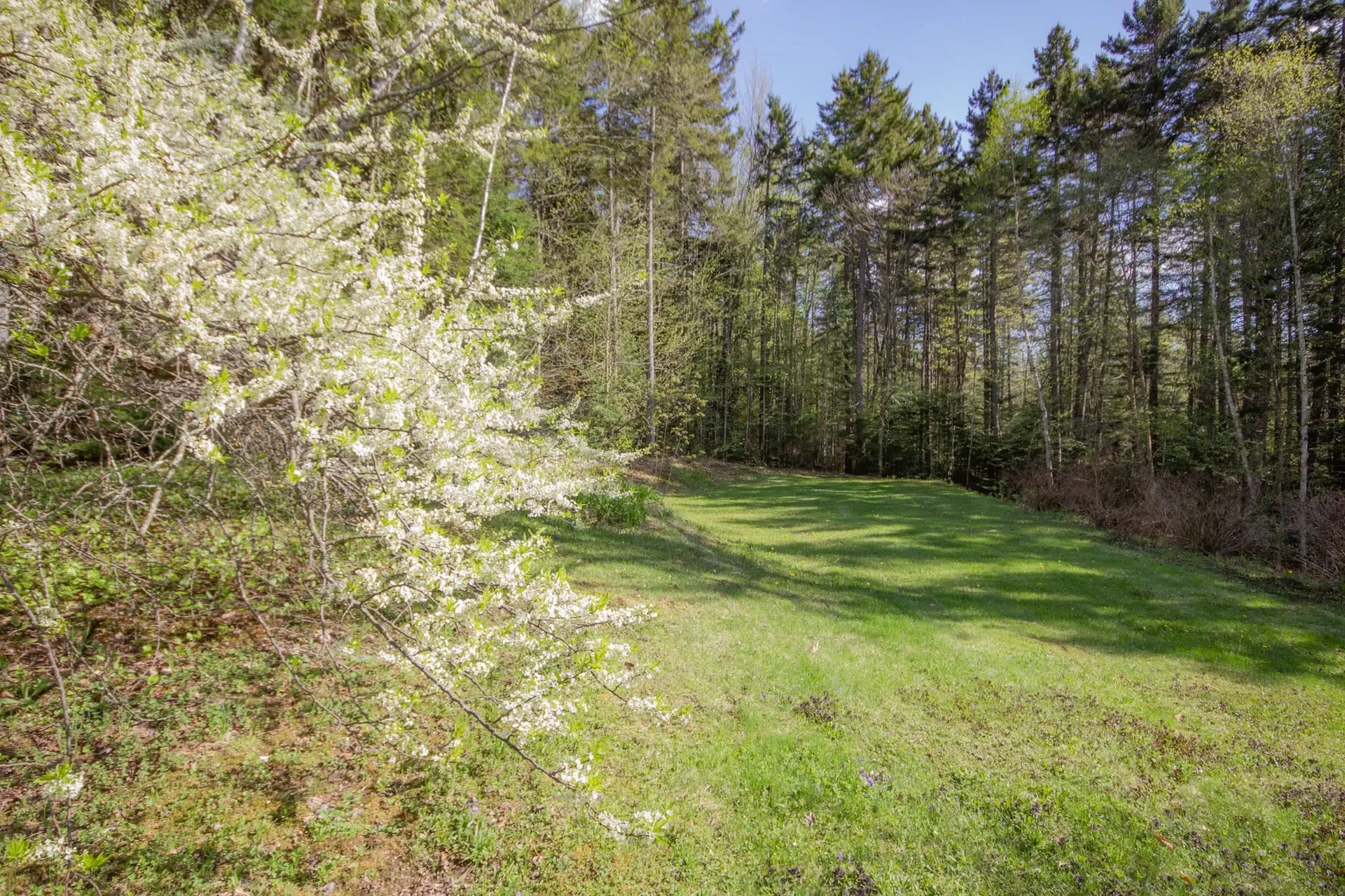 352 Edwins Pond Road Rochester VT 05767