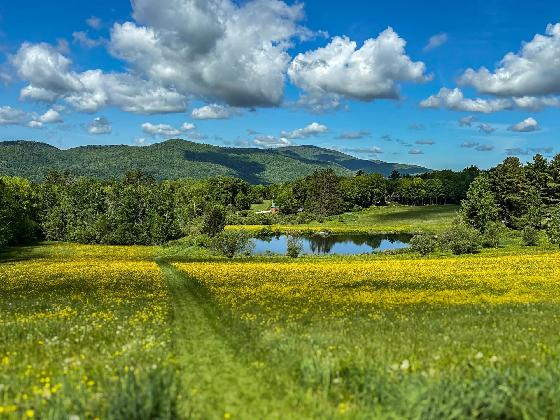 352 Edwins Pond Road Rochester VT 05767