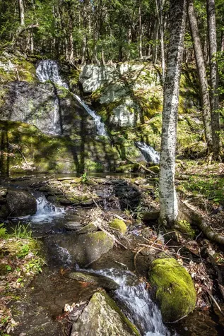 352 Edwins Pond Road Rochester VT 05767