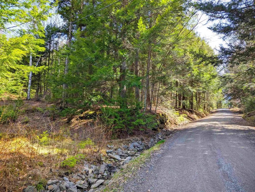 Vulture Mountain Road Stockbridge VT 05772
