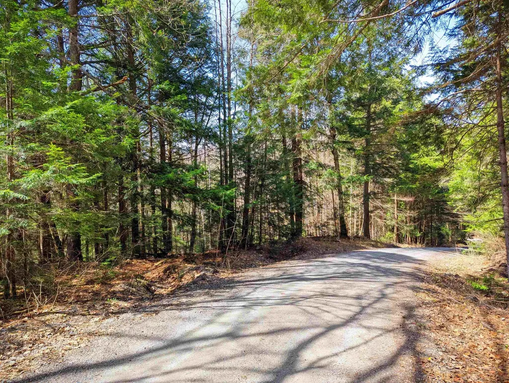 Vulture Mountain Road Stockbridge VT 05772