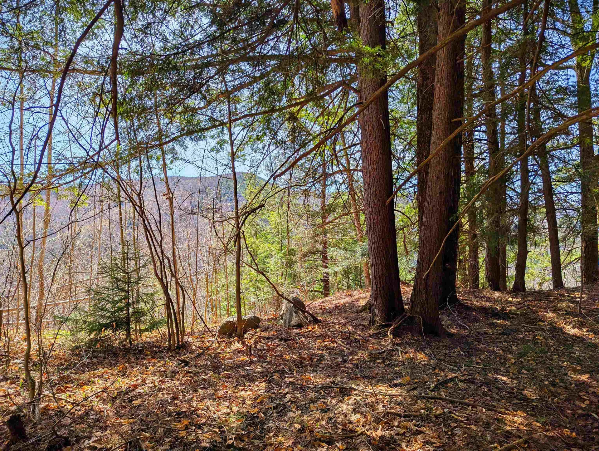 Vulture Mountain Road Stockbridge VT 05772