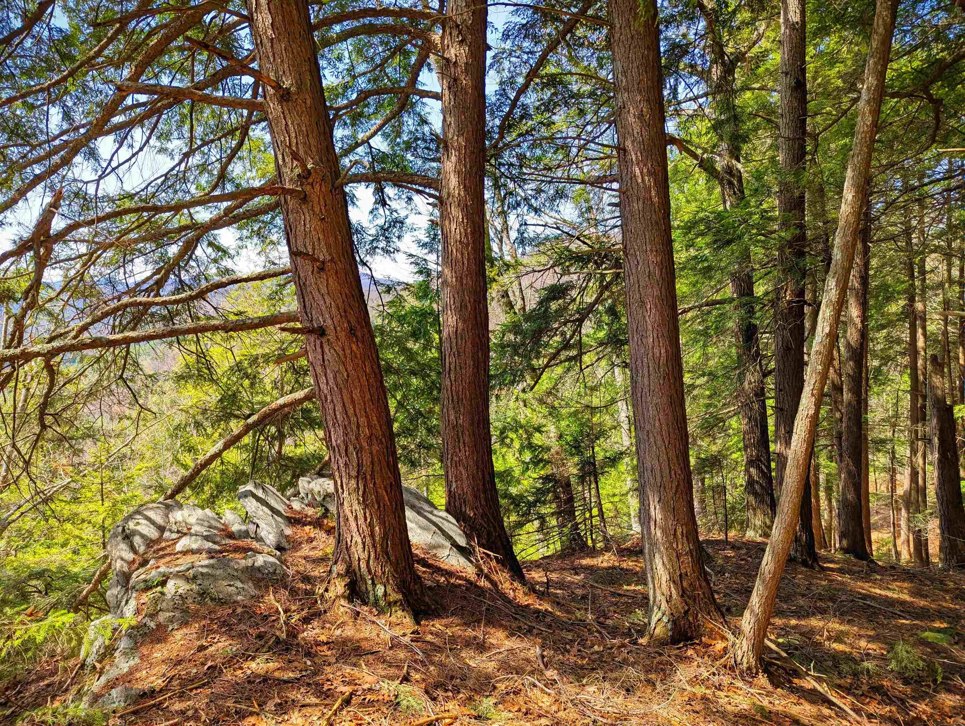 Vulture Mountain Road Stockbridge VT 05772