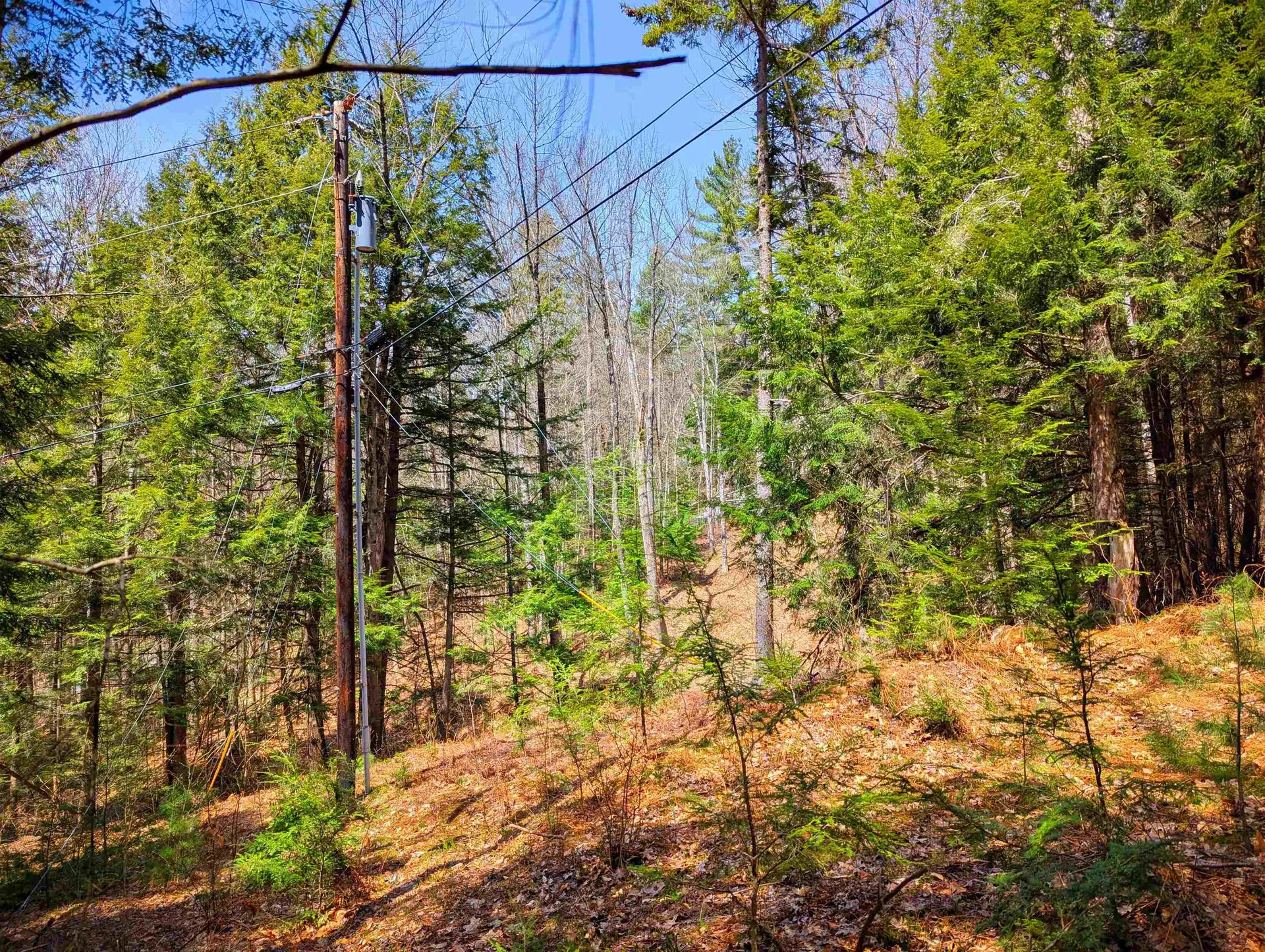 Vulture Mountain Road Stockbridge VT 05772