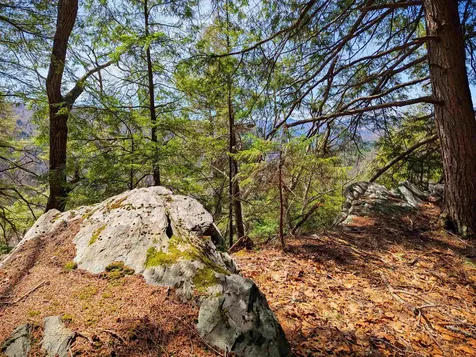 Vulture Mountain Road Stockbridge VT 05772