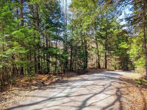Vulture Mountain Road Stockbridge VT 05772