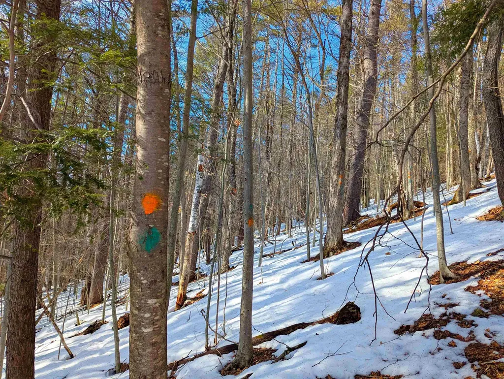 0 Carpenter Hill Road Guilford VT 05301