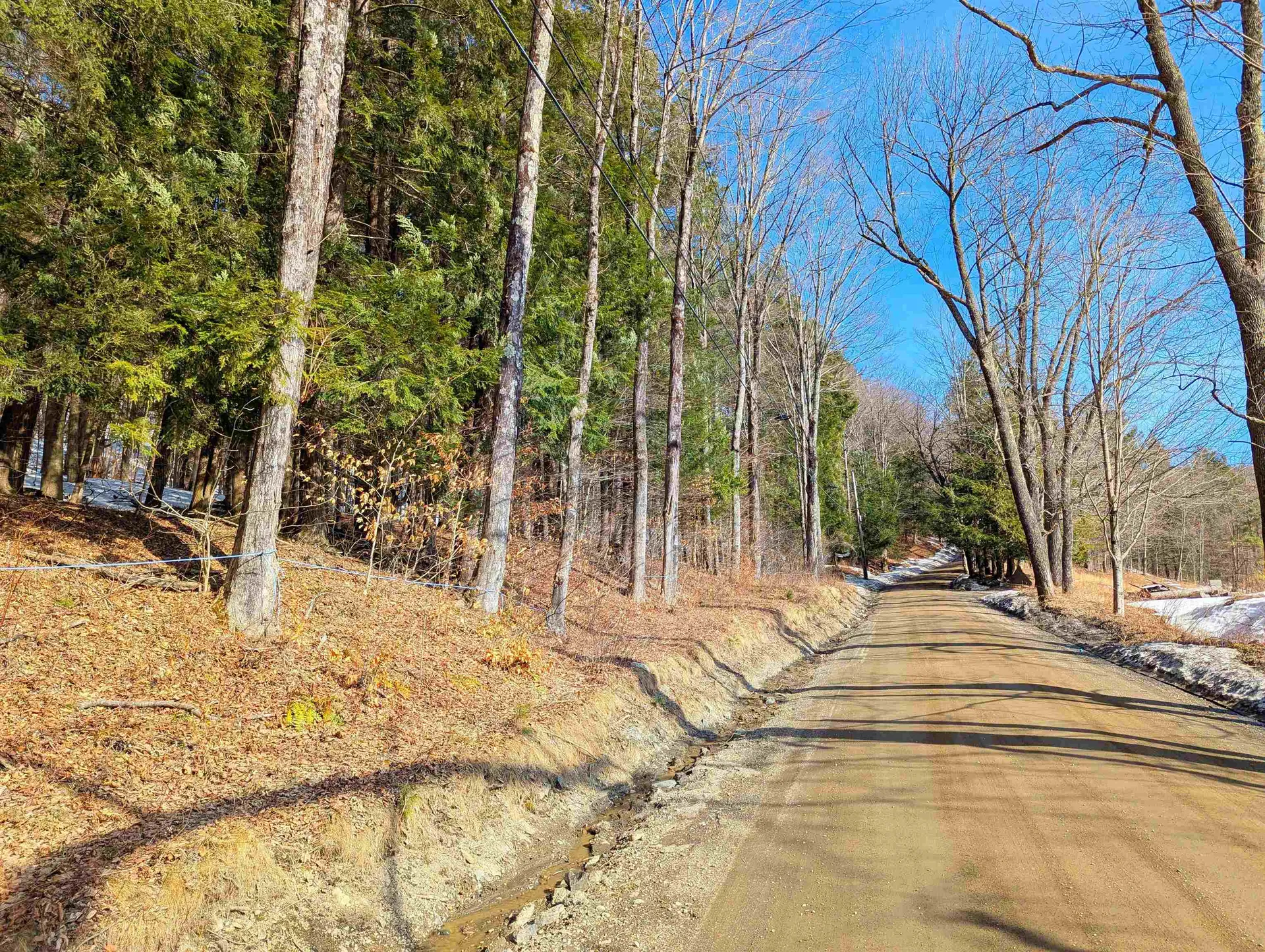 0 Carpenter Hill Road Guilford VT 05301