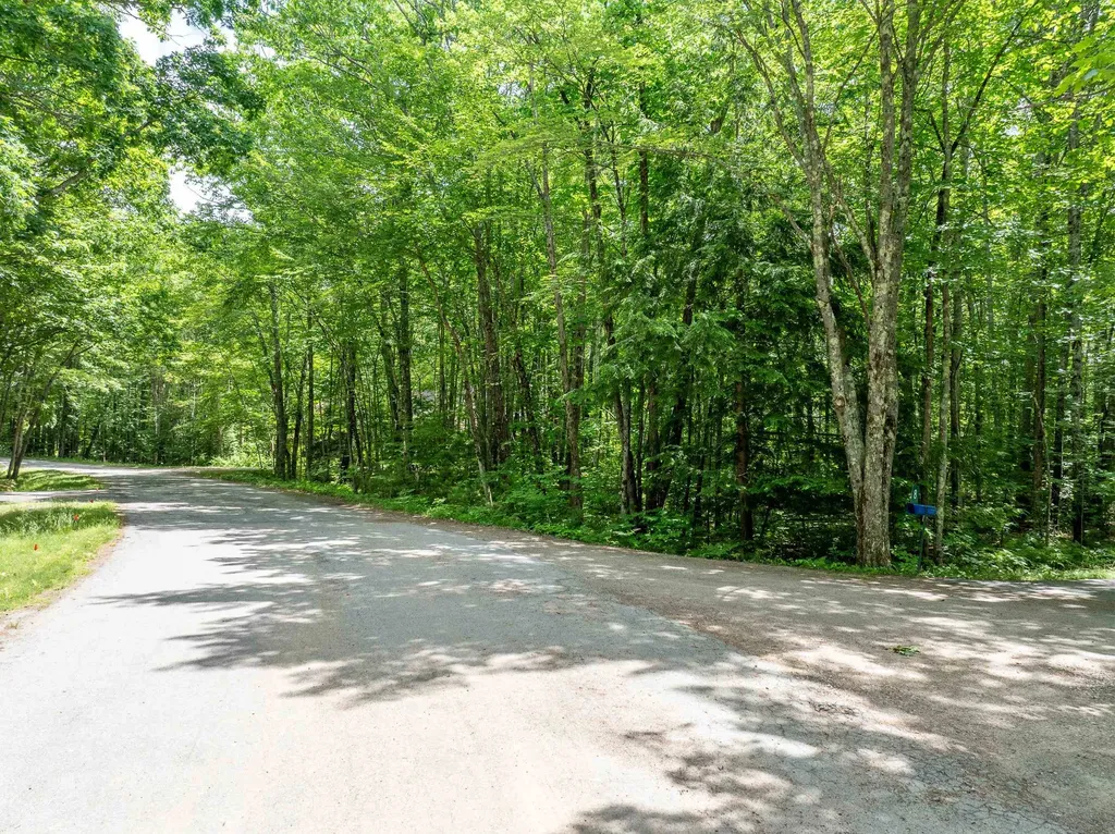 Lot 53 Senter Cove Road Tuftonboro NH 03850