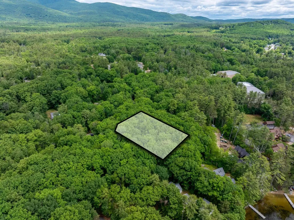 Lot 53 Senter Cove Road Tuftonboro NH 03850