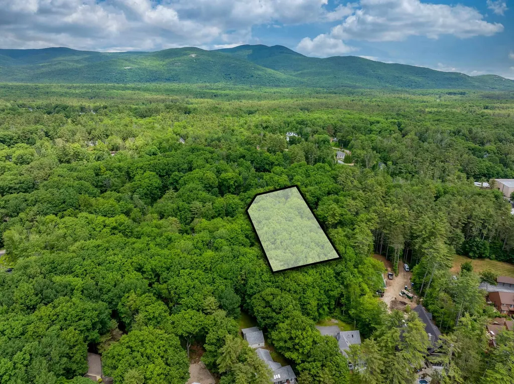 Lot 53 Senter Cove Road Tuftonboro NH 03850