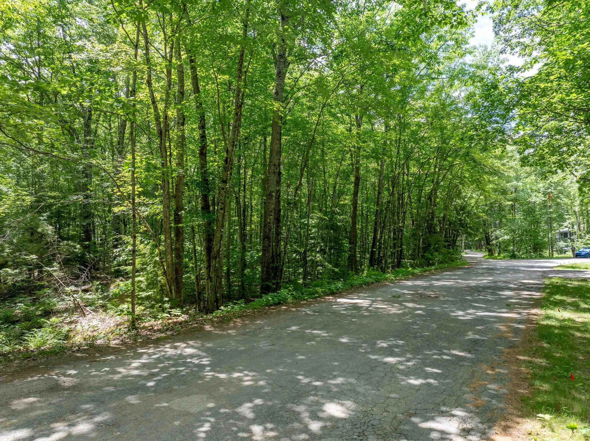 Lot 53 Senter Cove Road Tuftonboro NH 03850