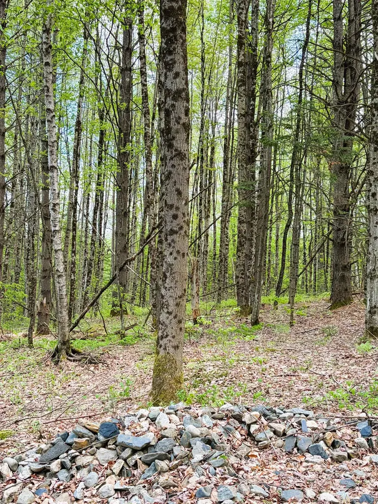 30 Dalton Road Dalton NH 03598