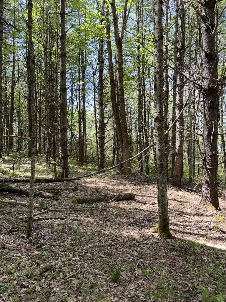 30 Dalton Road Dalton NH 03598