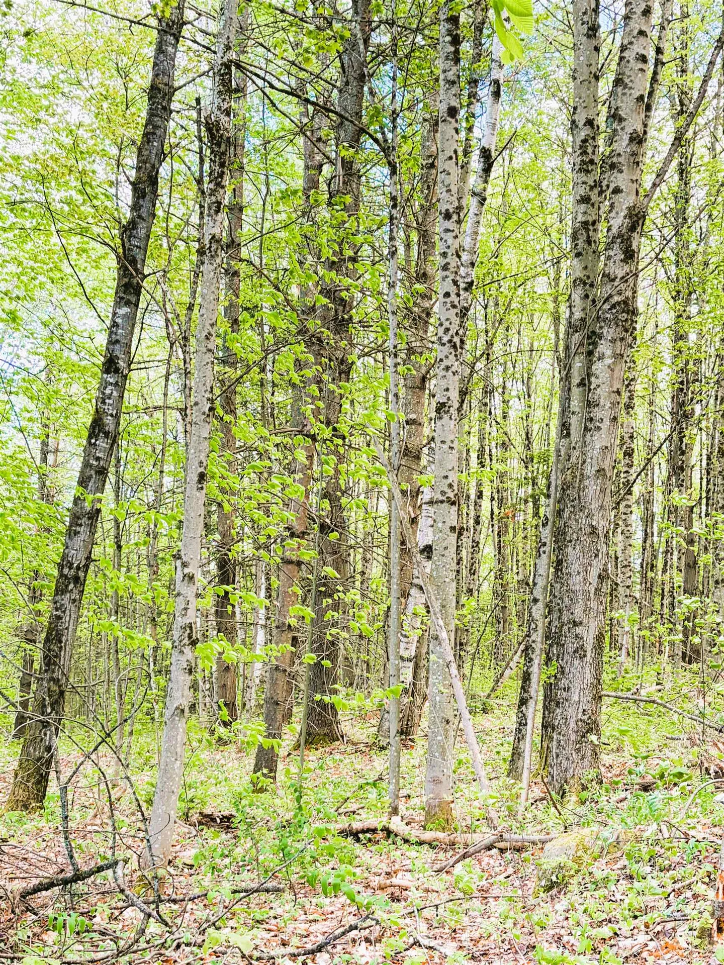 30 Dalton Road Dalton NH 03598
