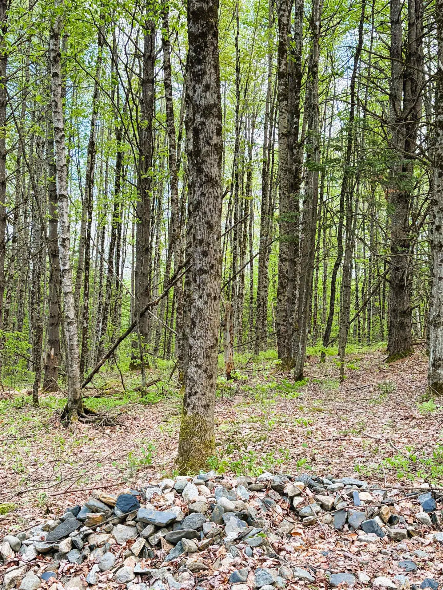 30 Dalton Road Dalton NH 03598