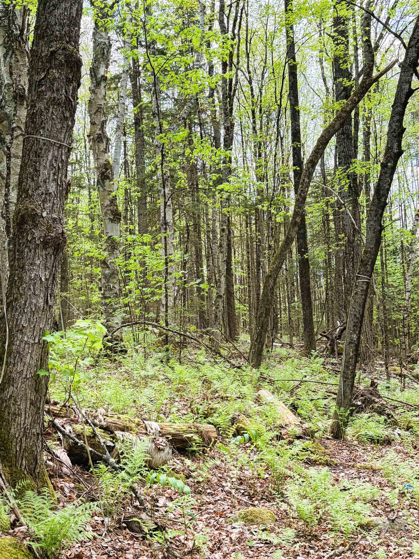 30 Dalton Road Dalton NH 03598