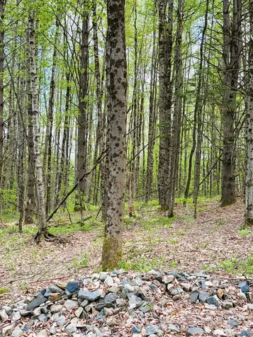 30 Dalton Road Dalton NH 03598