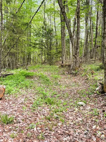 30 Dalton Road Dalton NH 03598