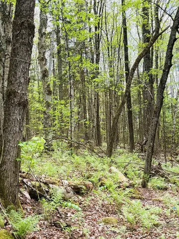 30 Dalton Road Dalton NH 03598