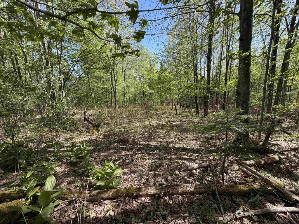 550 Petit Road Coventry VT 05825