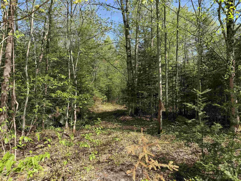 550 Petit Road Coventry VT 05825