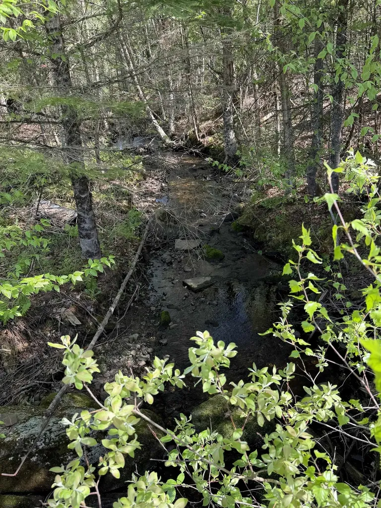 550 Petit Road Coventry VT 05825