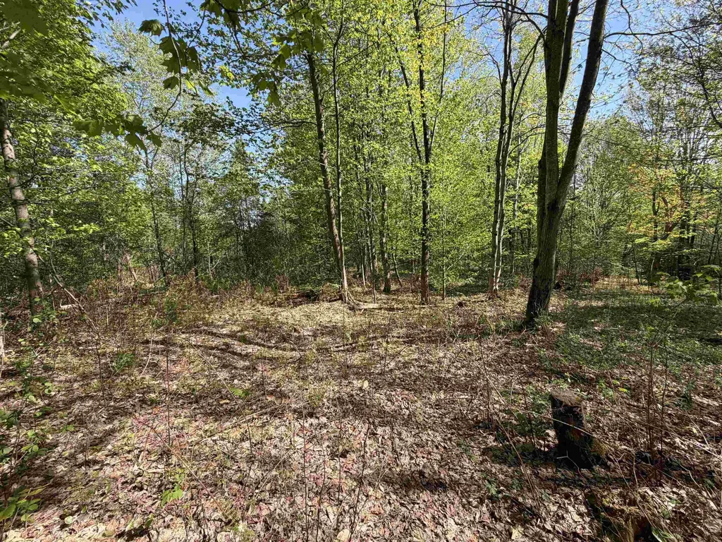 550 Petit Road Coventry VT 05825