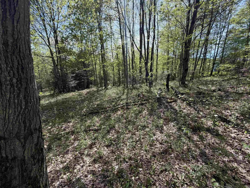 550 Petit Road Coventry VT 05825