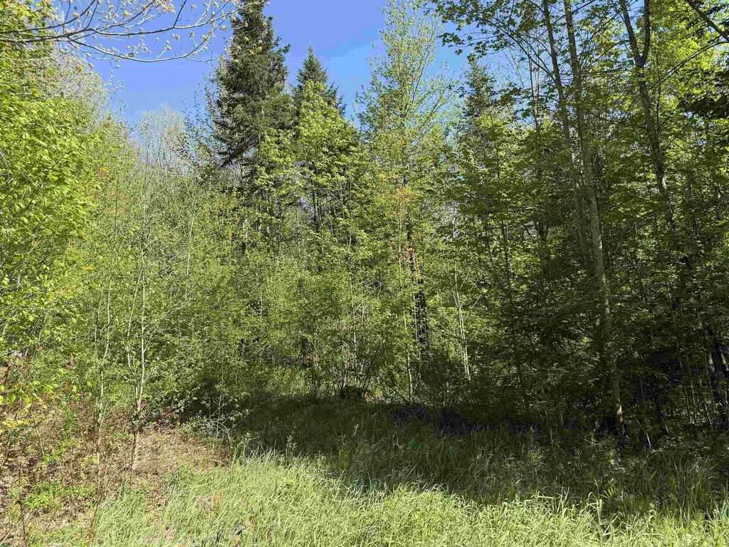 550 Petit Road Coventry VT 05825