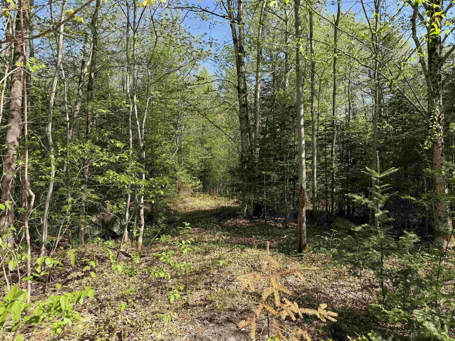 550 Petit Road Coventry VT 05825