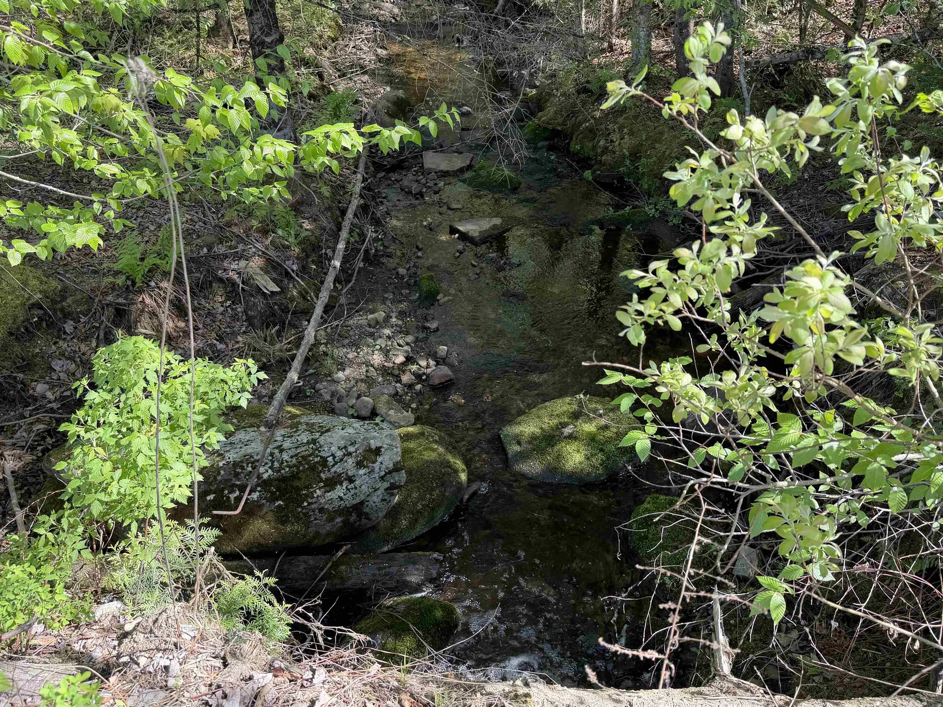 550 Petit Road Coventry VT 05825