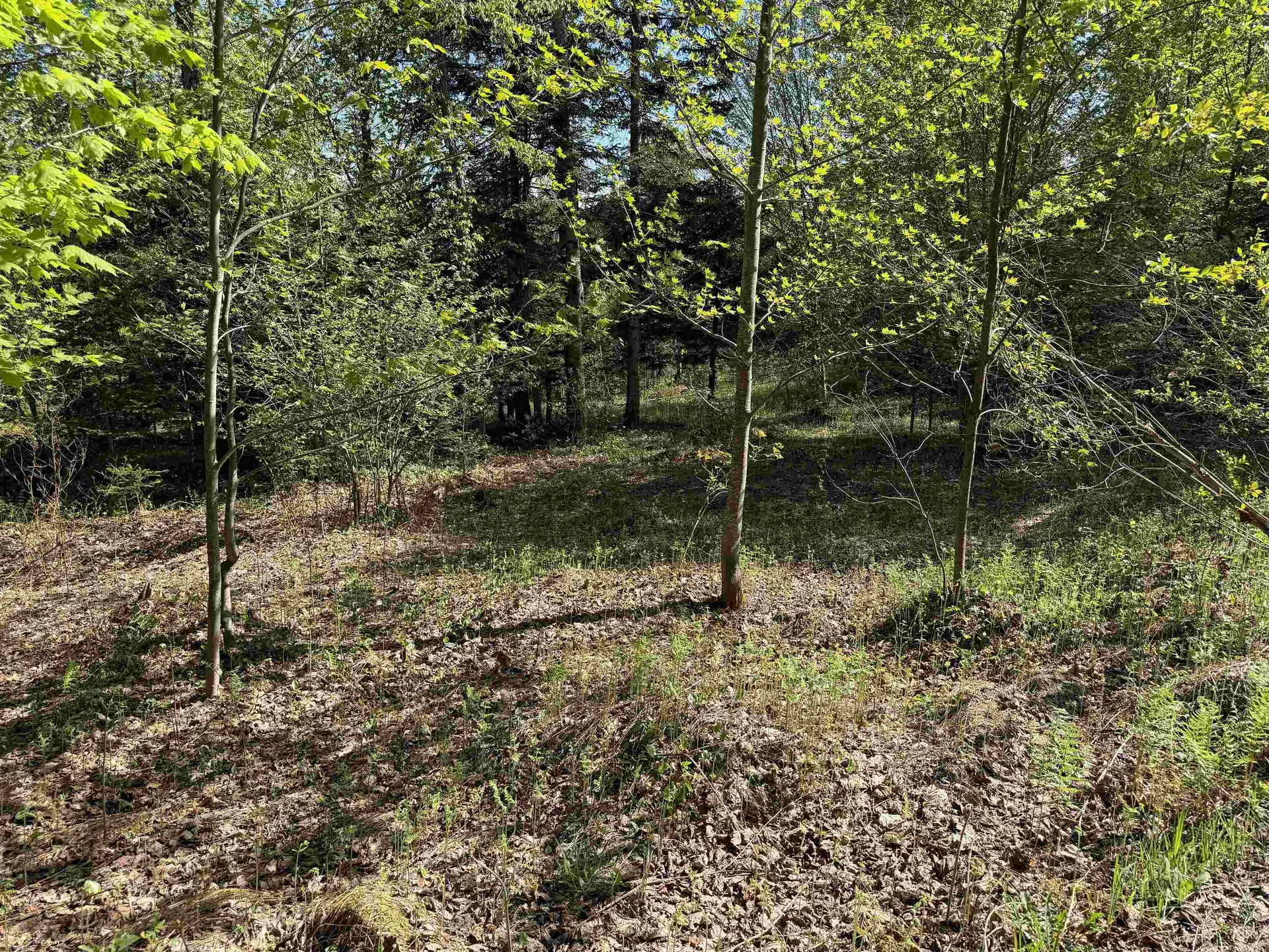 550 Petit Road Coventry VT 05825