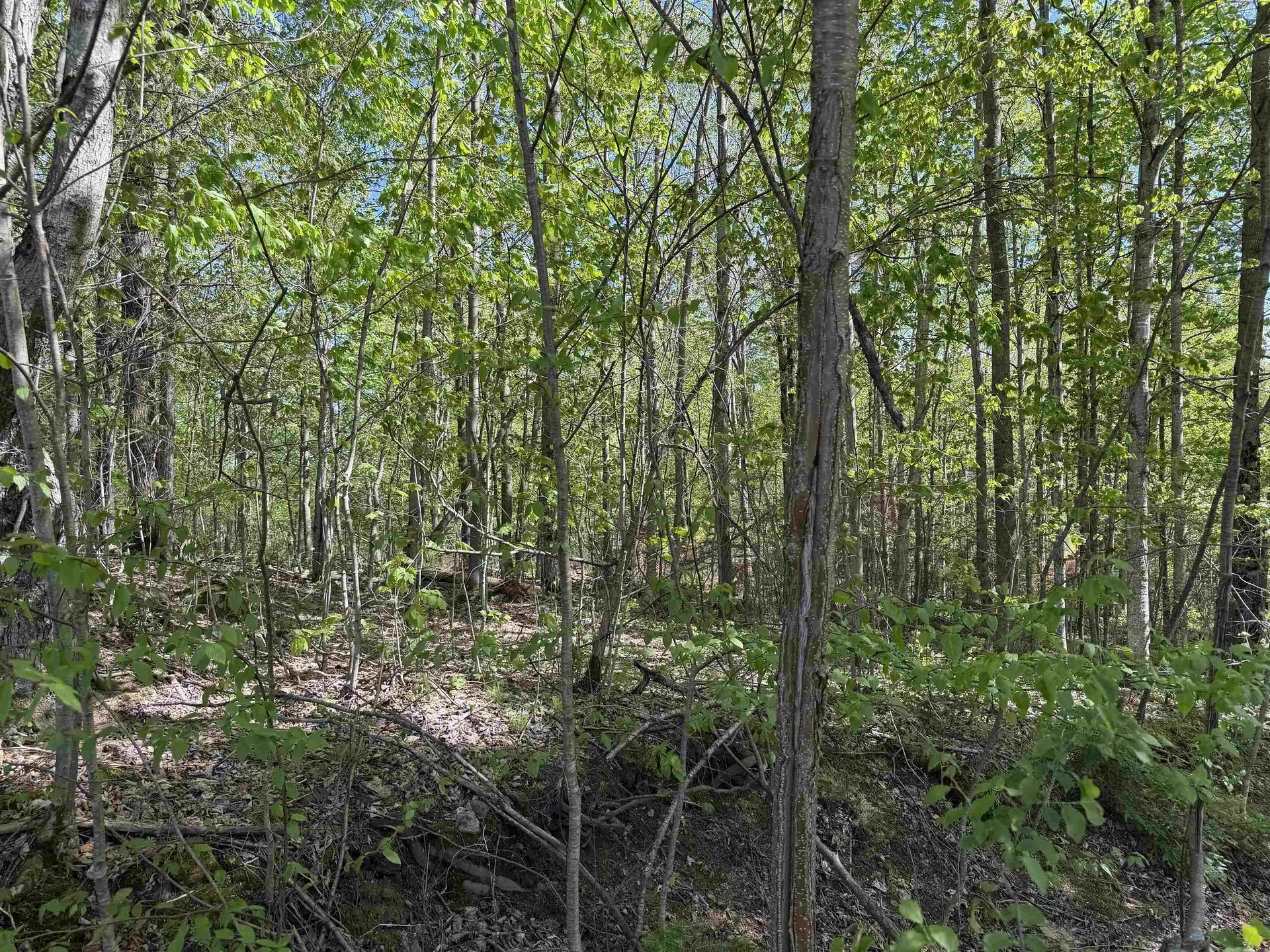 550 Petit Road Coventry VT 05825