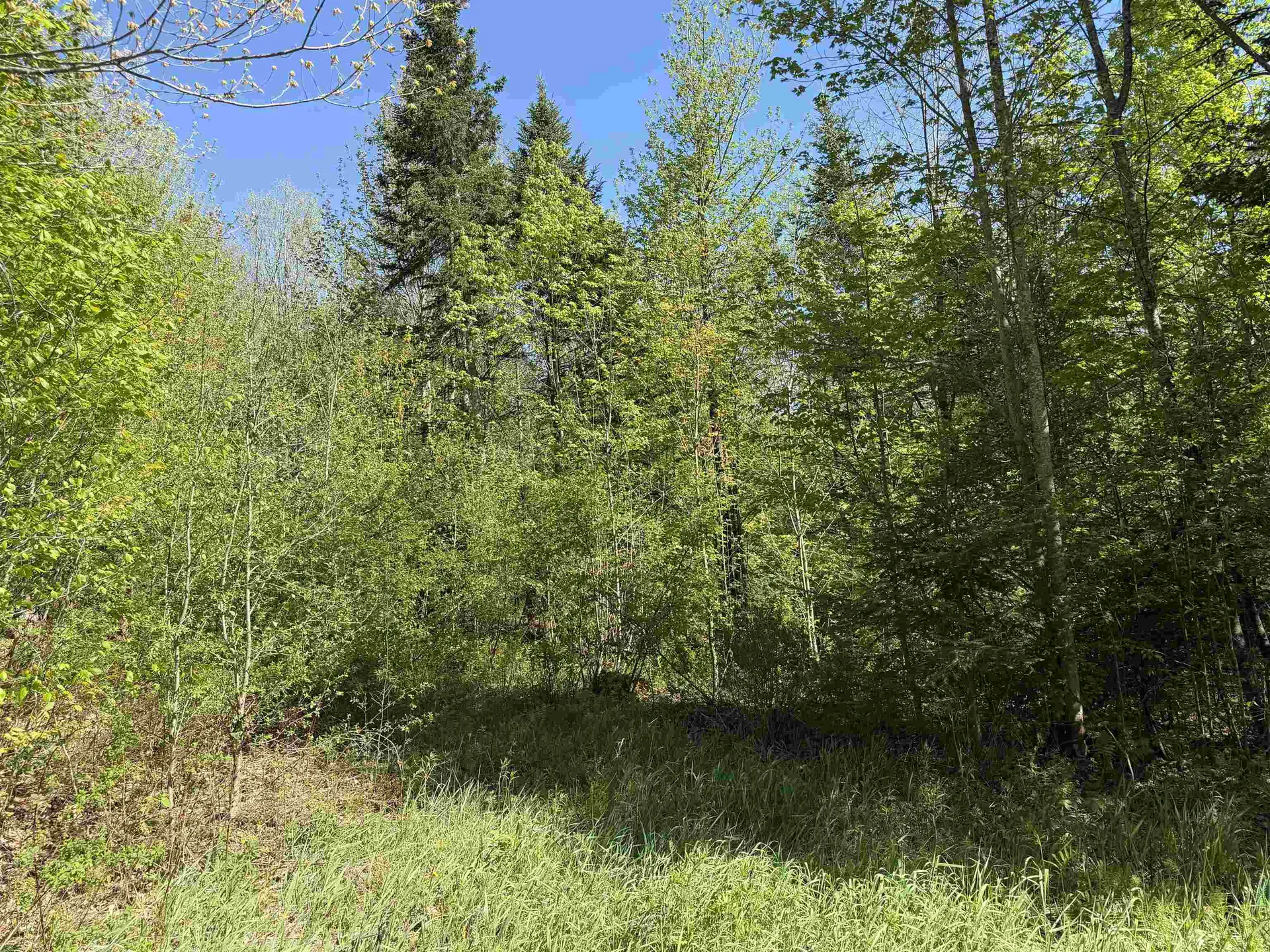550 Petit Road Coventry VT 05825