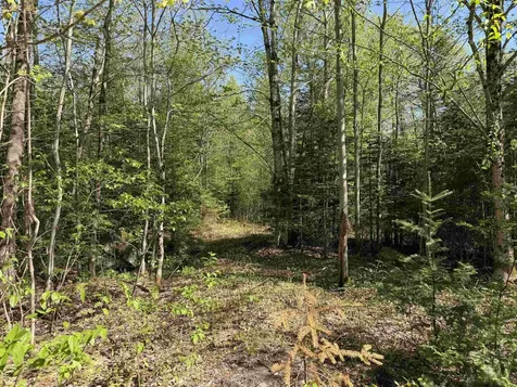550 Petit Road Coventry VT 05825