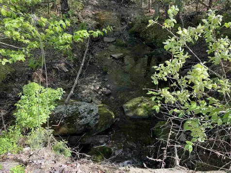 550 Petit Road Coventry VT 05825