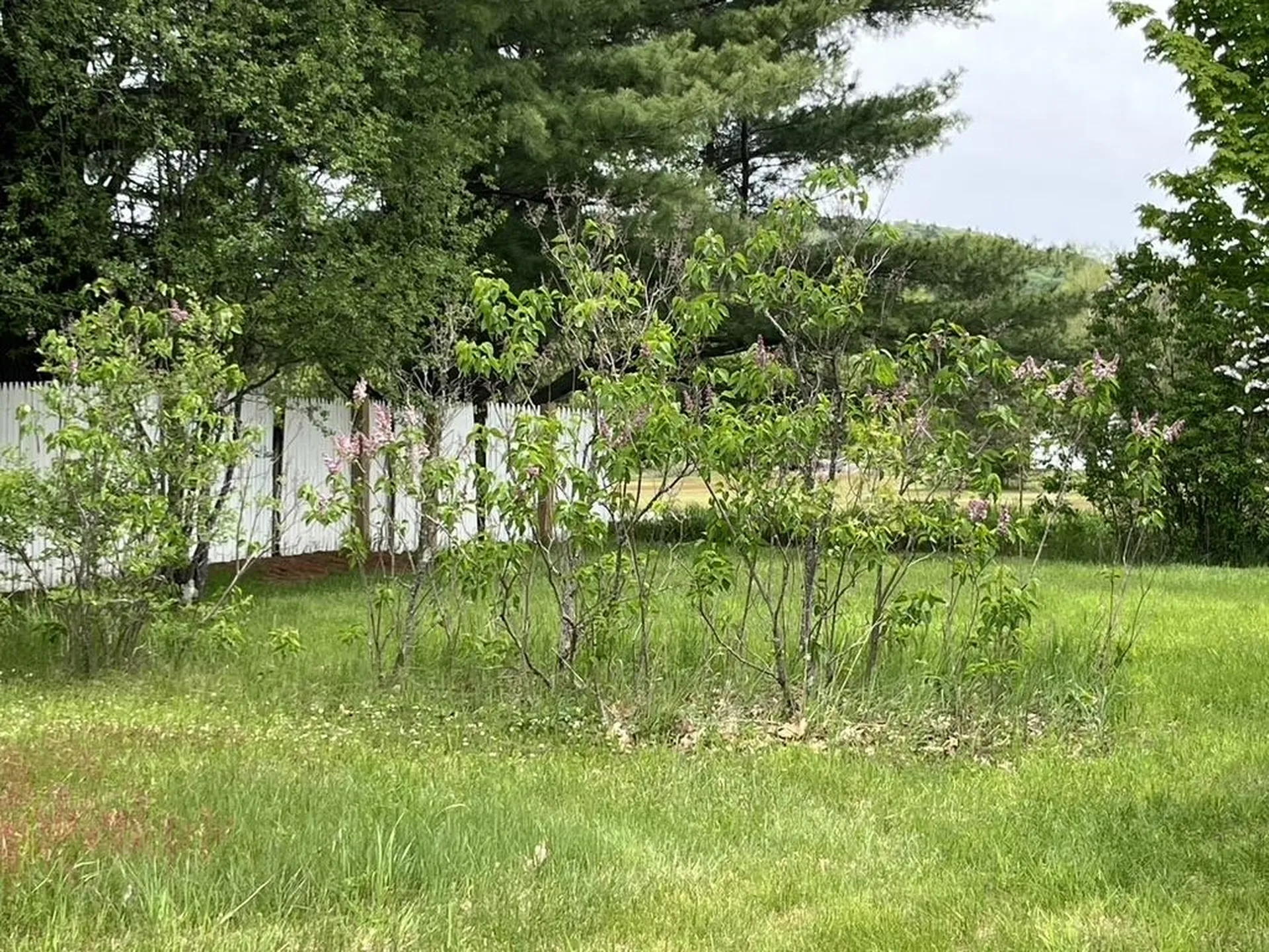8 Learned Drive Westford VT 05494
