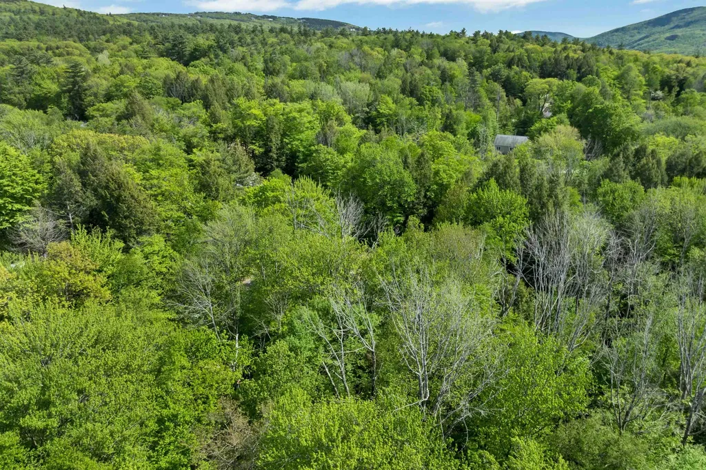 81 Ramblewood Circle Newbury NH 03255