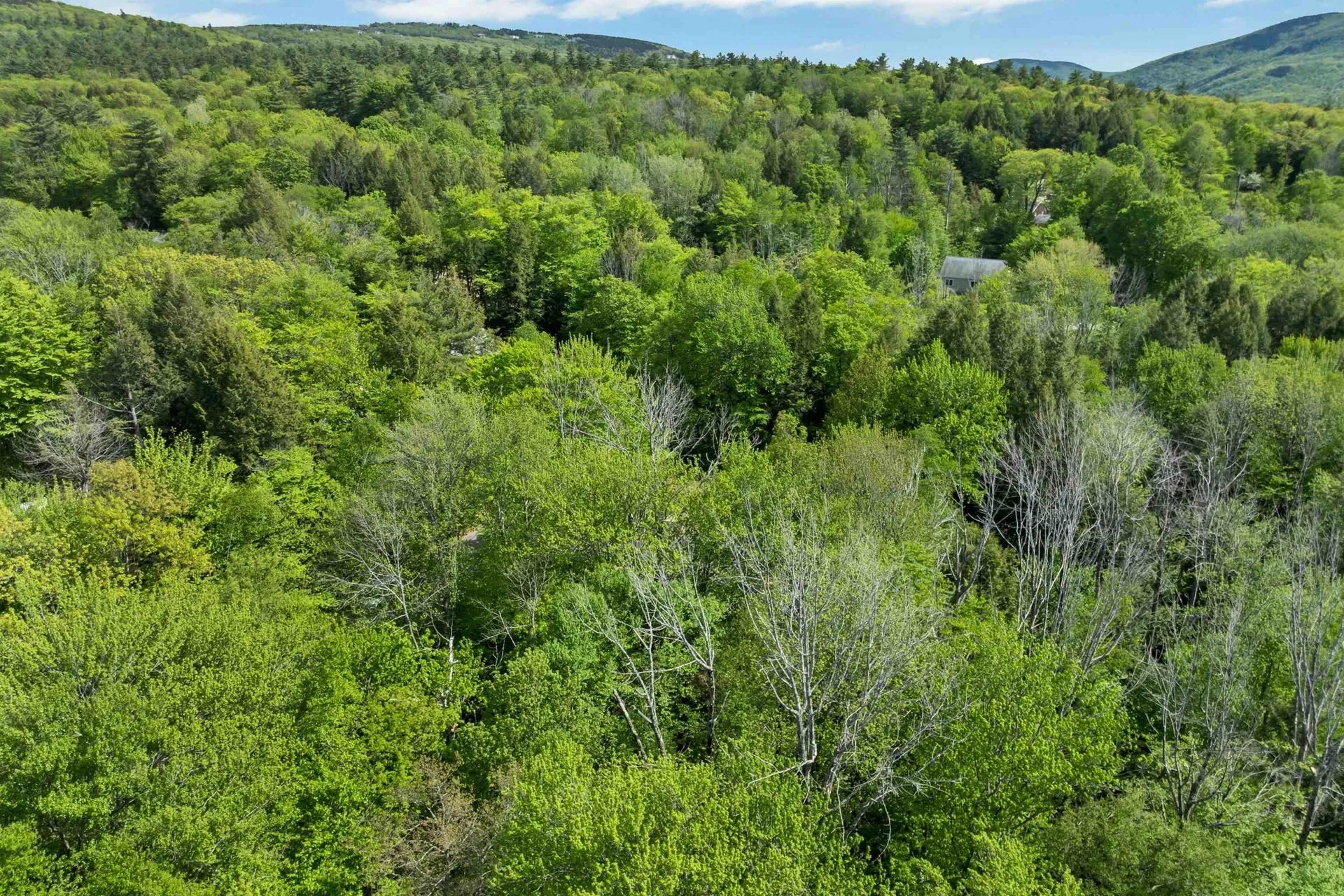 81 Ramblewood Circle Newbury NH 03255