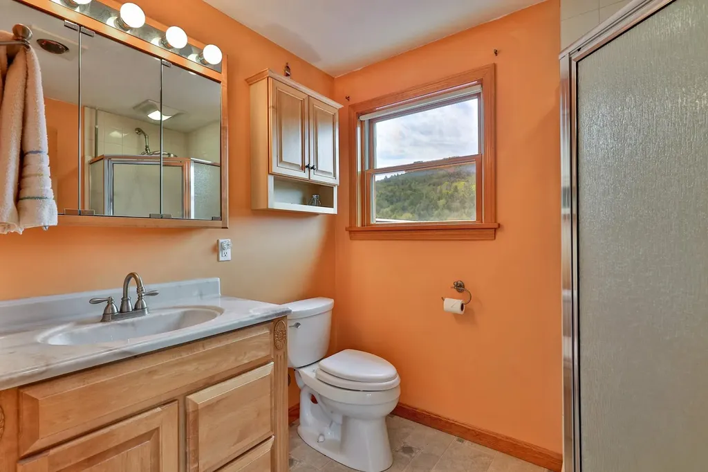 1319 Brandon Mountain Road Rochester VT 05767
