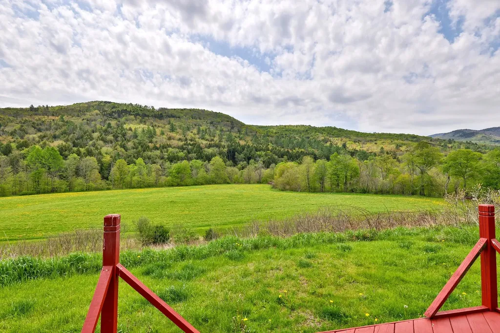 1319 Brandon Mountain Road Rochester VT 05767