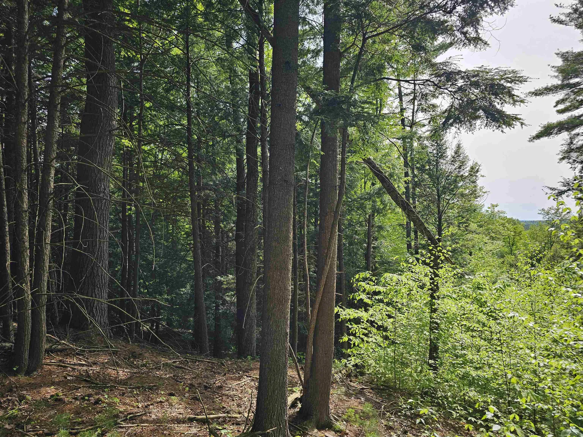 Lot 26 Province Road Belmont NH 03220