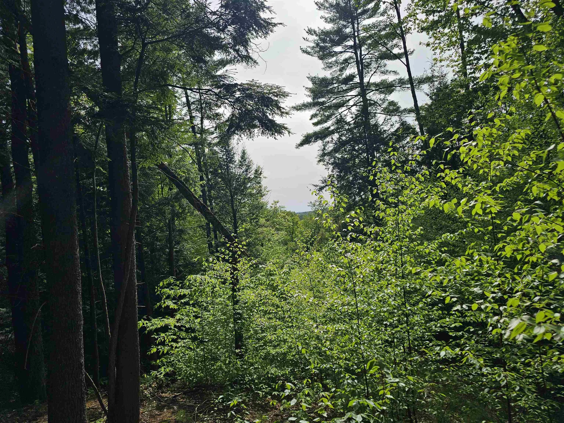 Lot 26 Province Road Belmont NH 03220