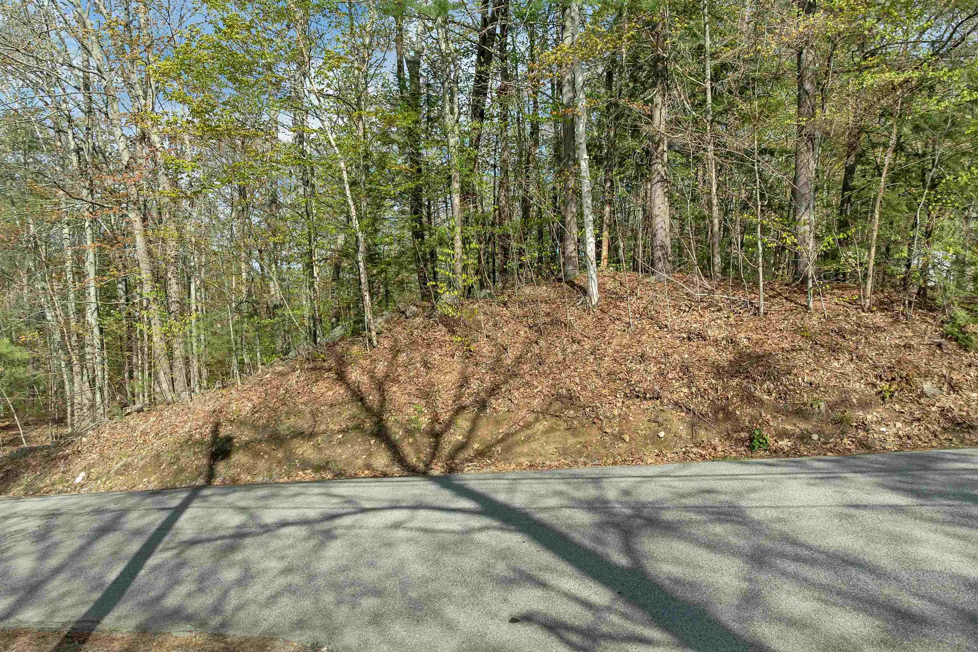 Lot 26 Province Road Belmont NH 03220