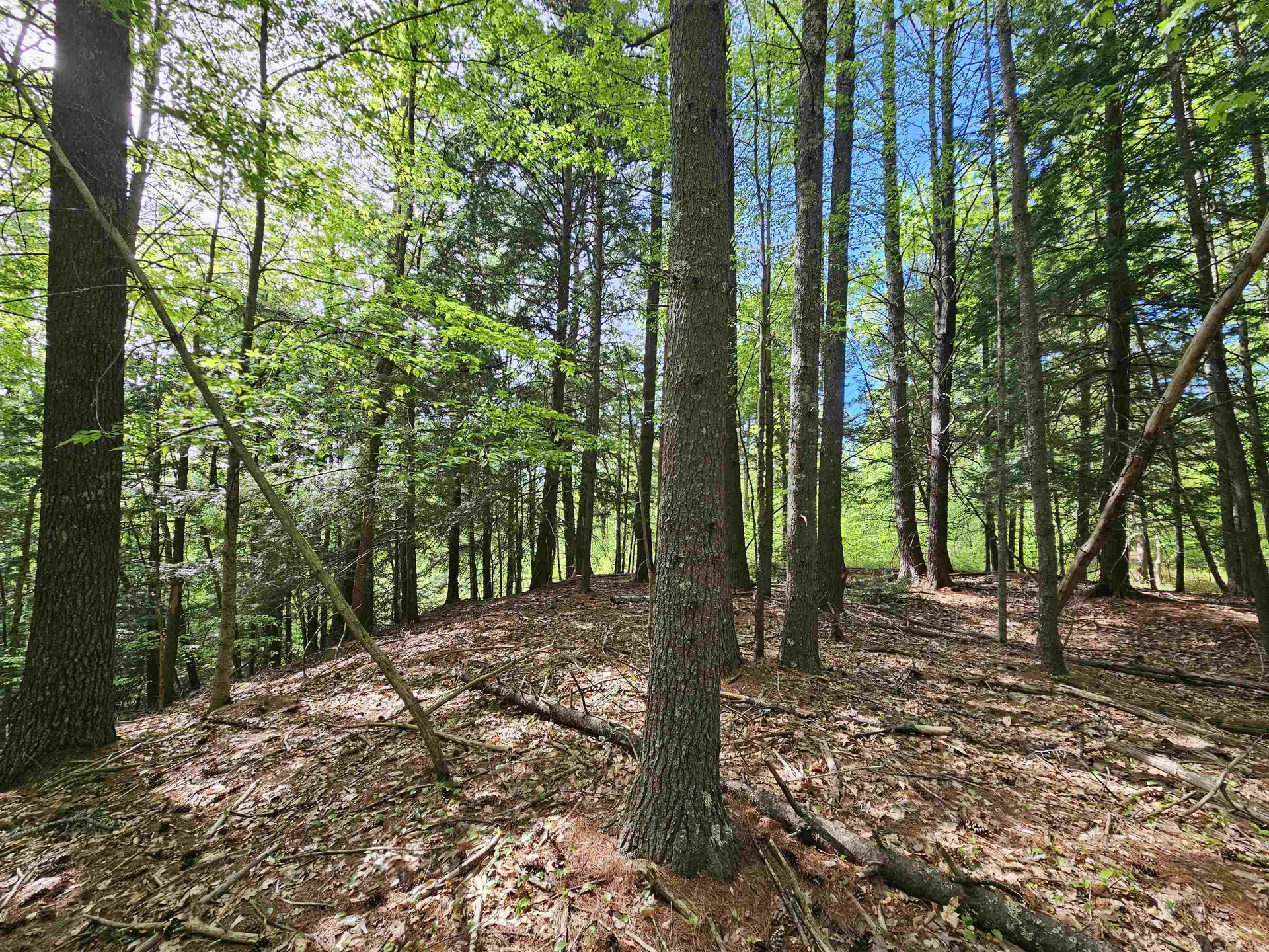 Lot 26 Province Road Belmont NH 03220