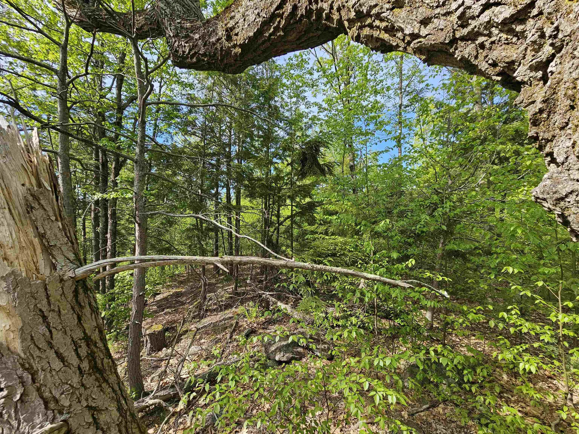 Lot 26 Province Road Belmont NH 03220
